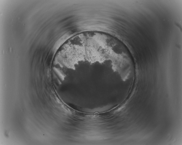 X0000102221529200808081305