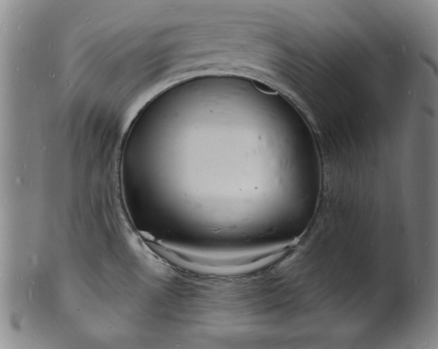 X0000102221530200808081305