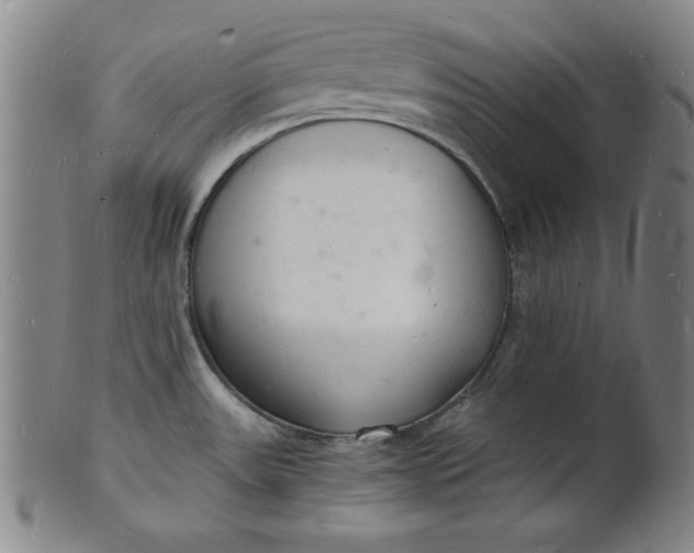 X0000102221531200808081305