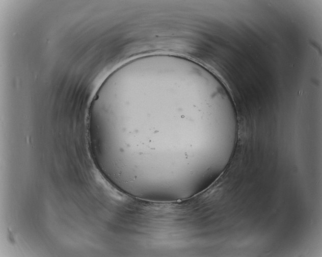 X0000102221532200808081305