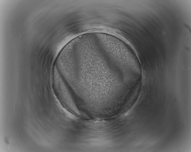 X0000102221533200808081305