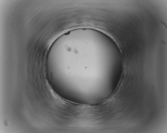 X0000102221534200808081305