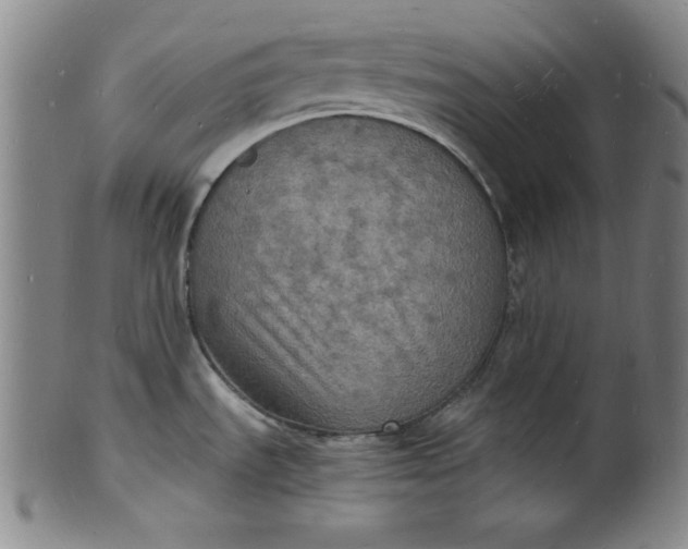 X0000102221535200808081305