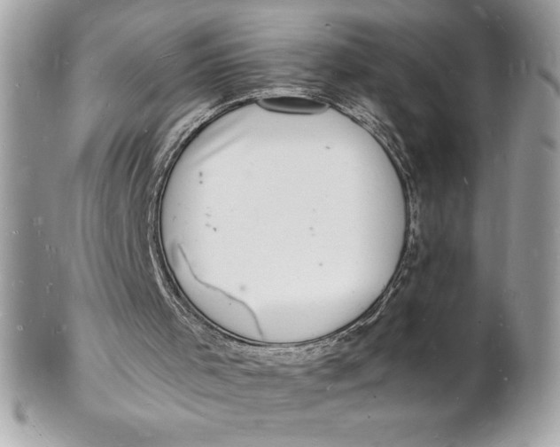 X0000102220001200808151716