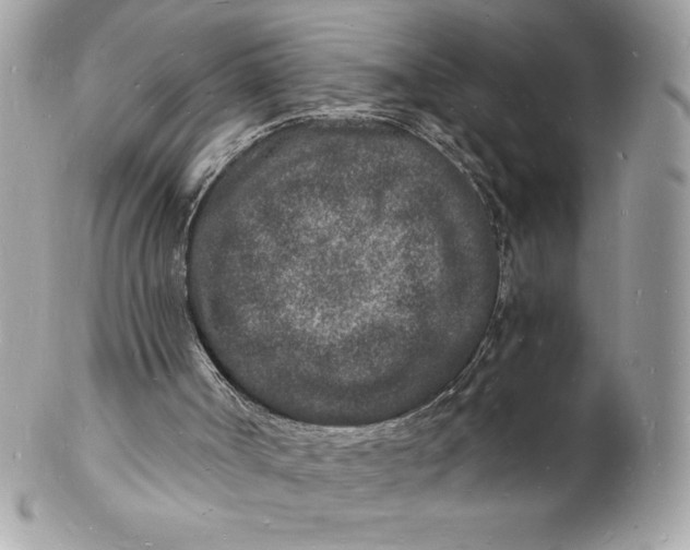 X0000102220002200808151716