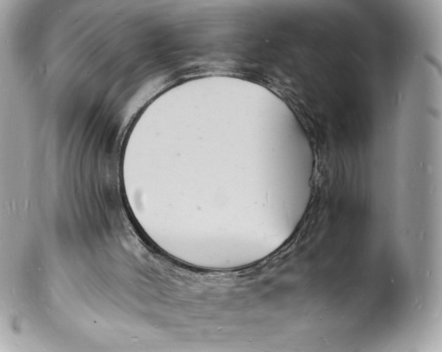 X0000102220004200808151716