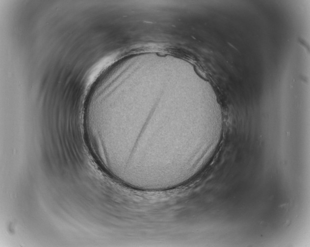 X0000102220006200808151716