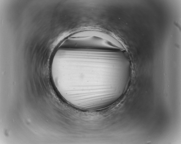 X0000102220008200808151716