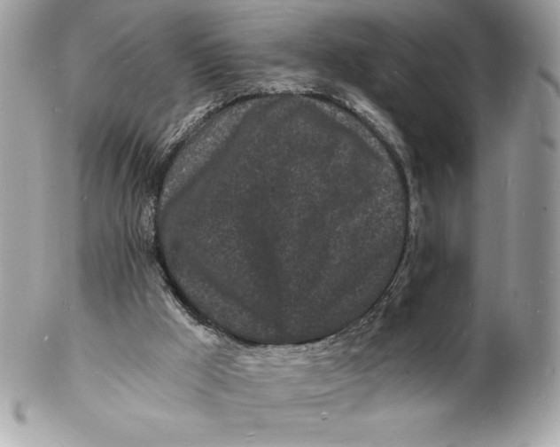 X0000102220009200808151716