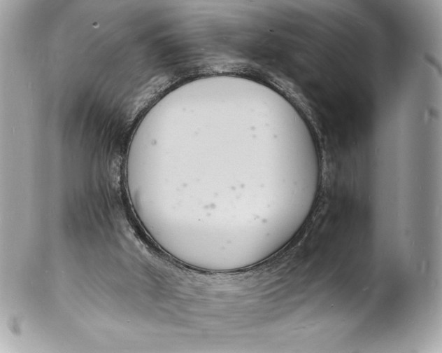 X0000102220010200808151716