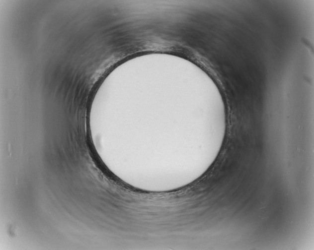 X0000102220011200808151716