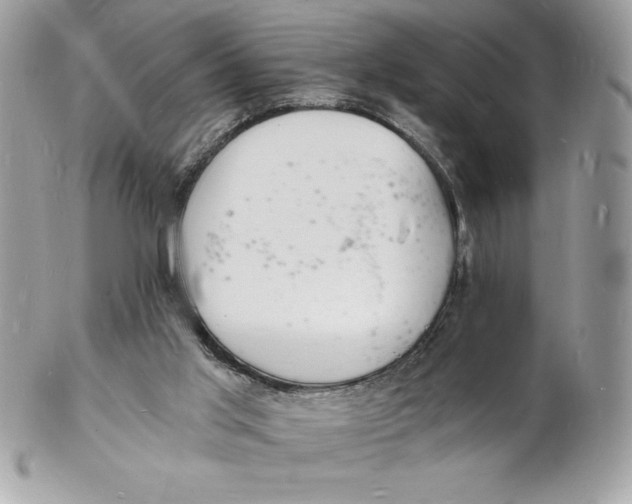 X0000102220013200808151716