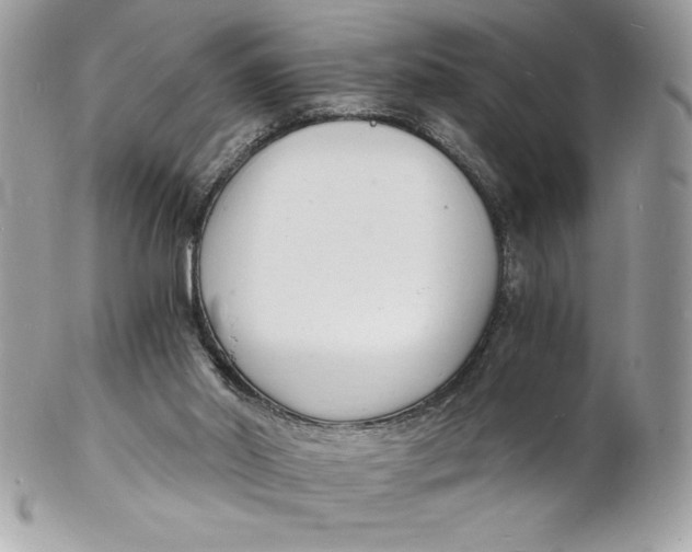 X0000102220014200808151716