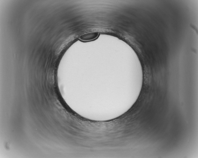 X0000102220015200808151716