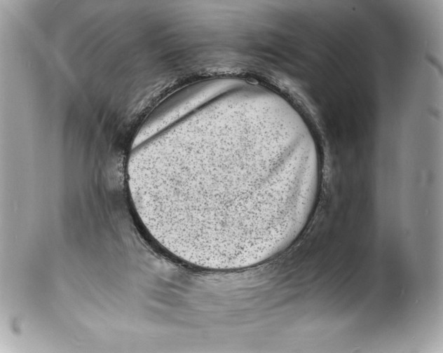 X0000102220017200808151716