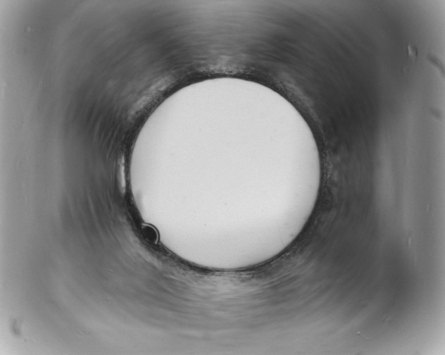 X0000102220020200808151716