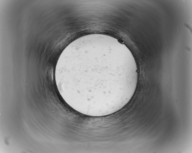 X0000102220021200808151716