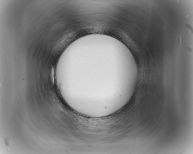 X0000102220022200808151716