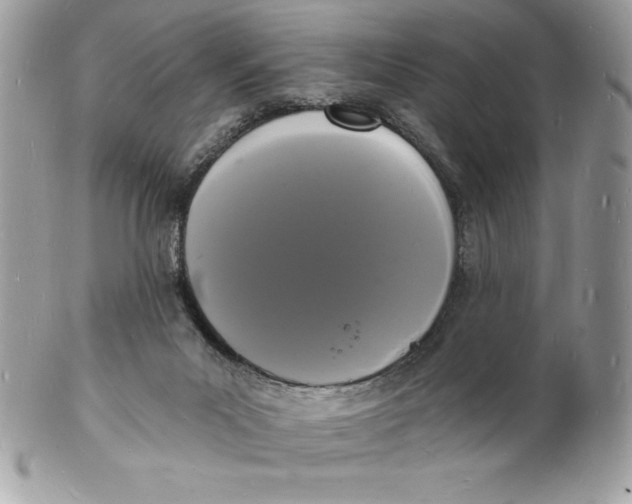 X0000102220023200808151716