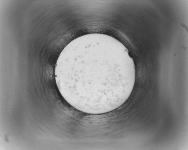 X0000102220025200808151716