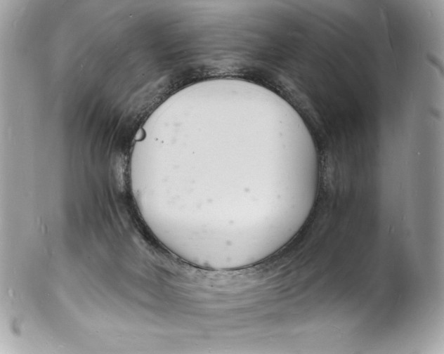 X0000102220026200808151716