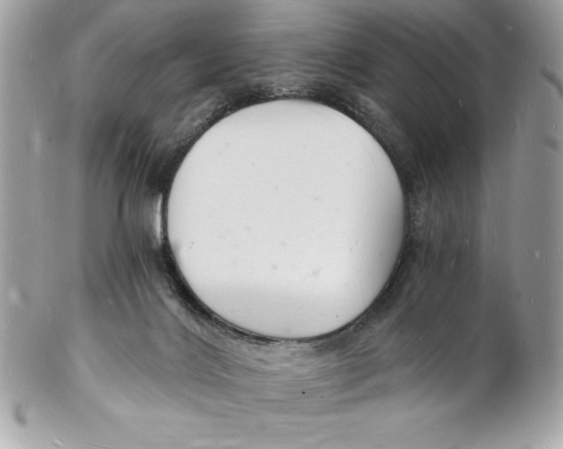 X0000102220028200808151716