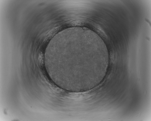 X0000102220029200808151716