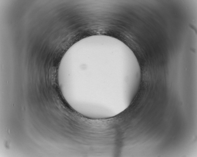 X0000102220030200808151716