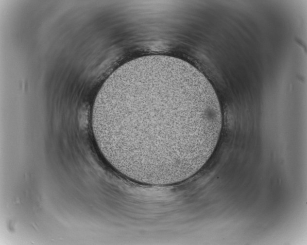 X0000102220032200808151716