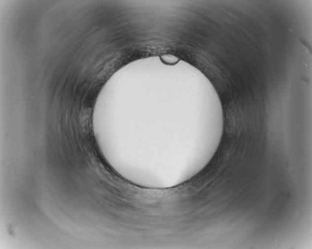 X0000102220034200808151716