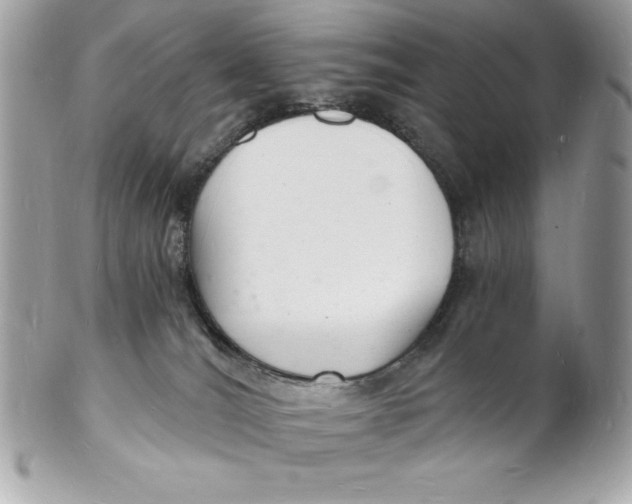 X0000102220036200808151716