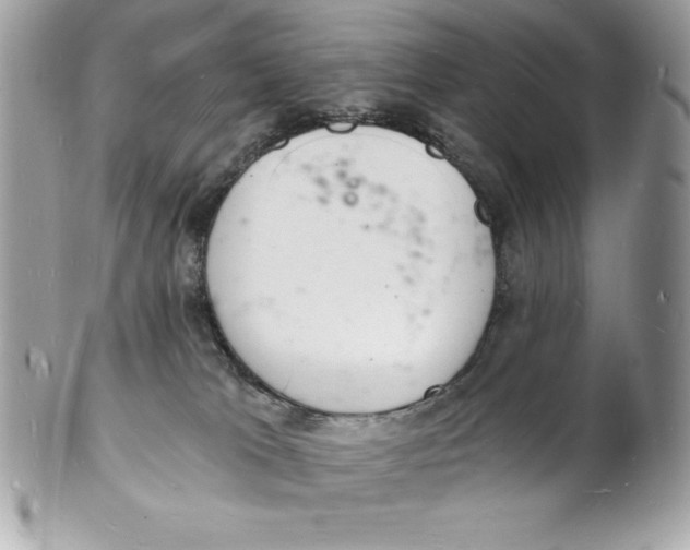 X0000102220037200808151716