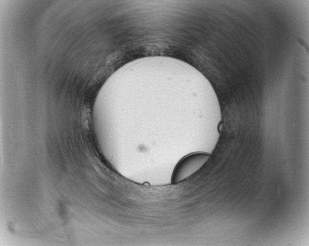 X0000102220038200808151716