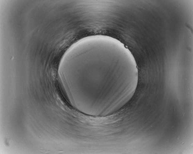 X0000102220039200808151716