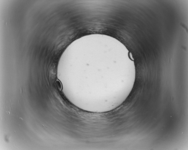 X0000102220040200808151716