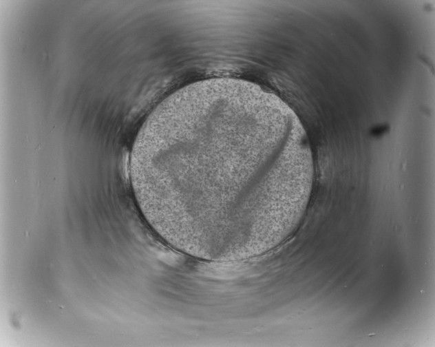 X0000102220041200808151716