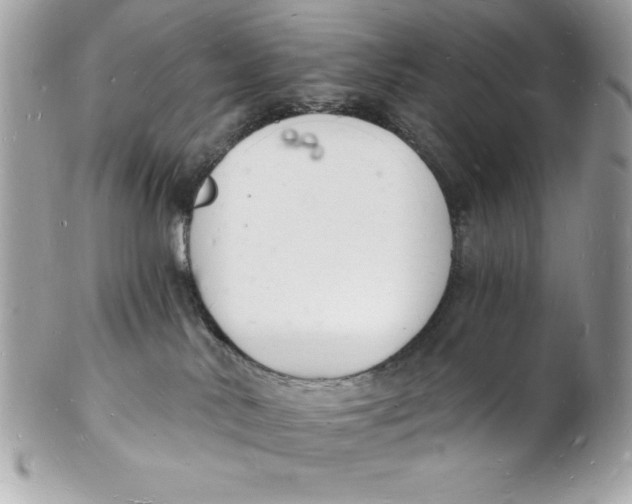 X0000102220042200808151716