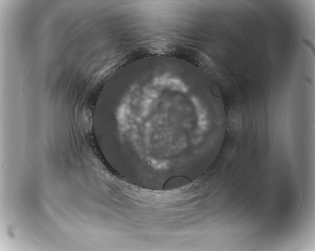 X0000102220043200808151716