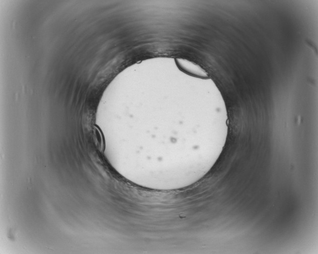 X0000102220044200808151716