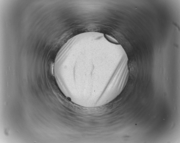 X0000102220046200808151716