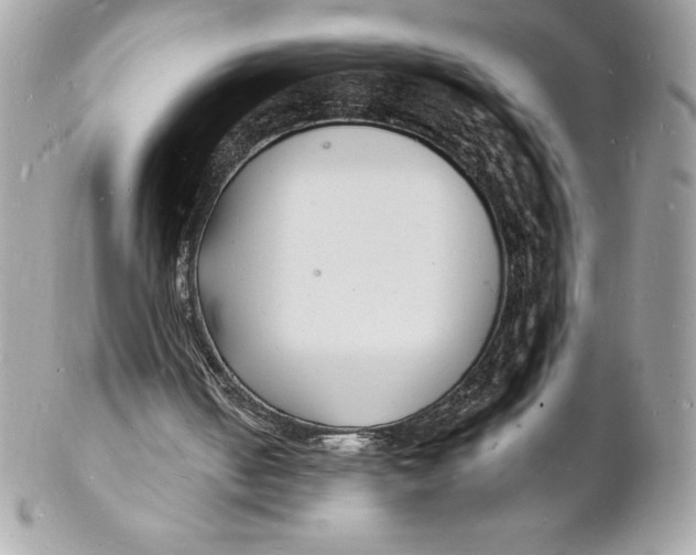 X0000102220050200808151715