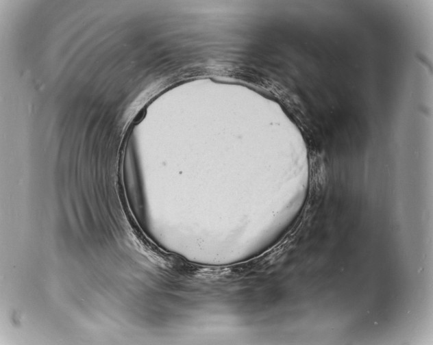 X0000102220051200808151715