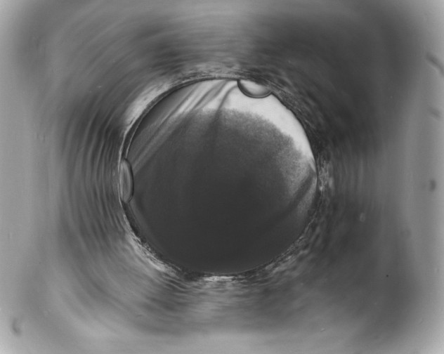 X0000102220052200808151715