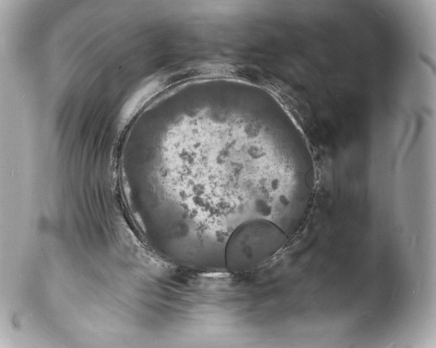 X0000102220053200808151715