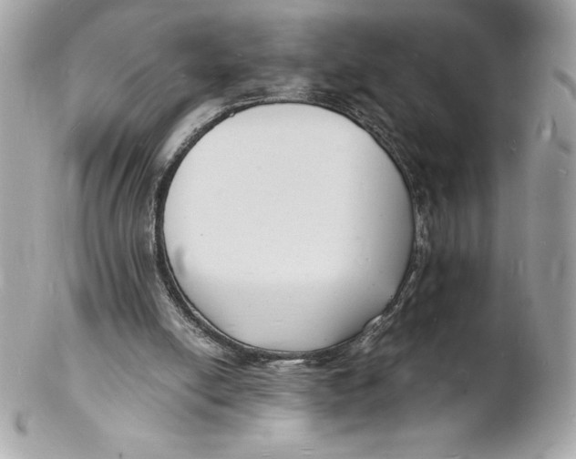 X0000102220054200808151715