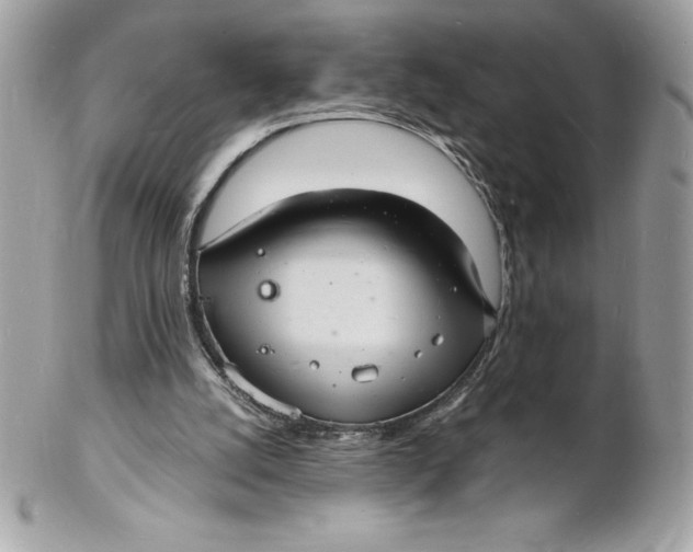 X0000102220056200808151715