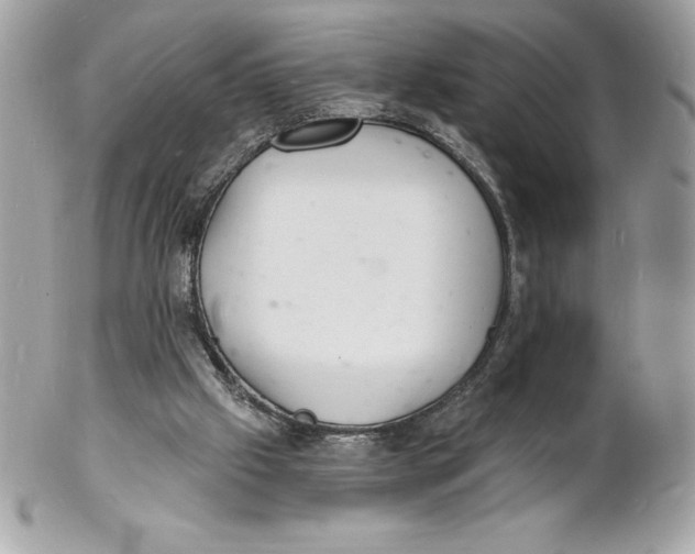 X0000102220057200808151715