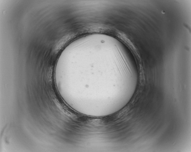 X0000102220058200808151715