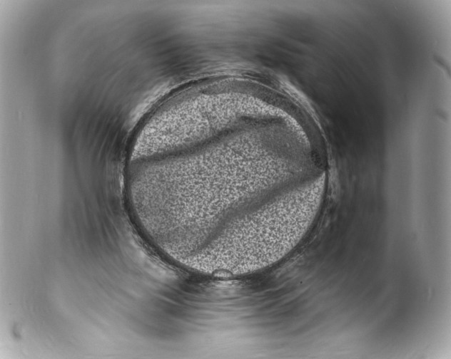 X0000102220059200808151715