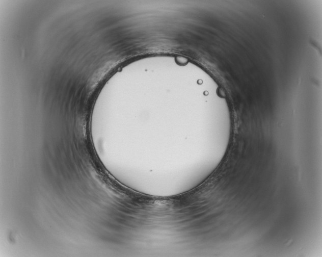 X0000102220060200808151715